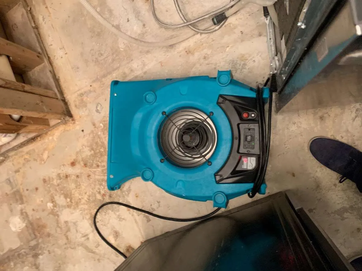 Air mover drying equipment for Mold Remediation & Removal in Somerset